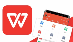 wps-11