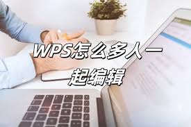 wps-12