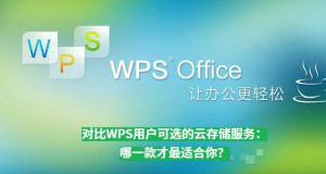 wps-3