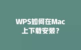 wps-51