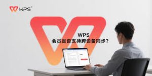 wps-6